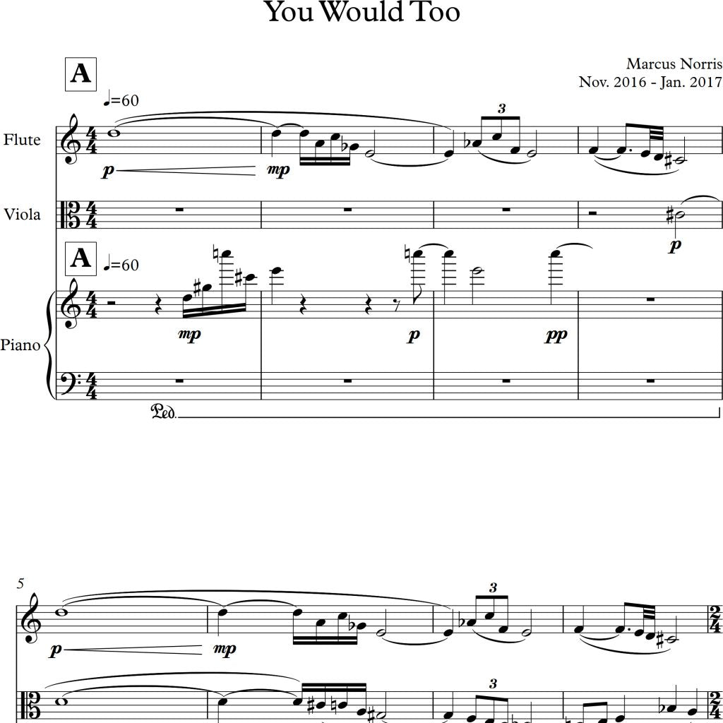 You Would Too (for piano, flute, viola) [Sheet Music]