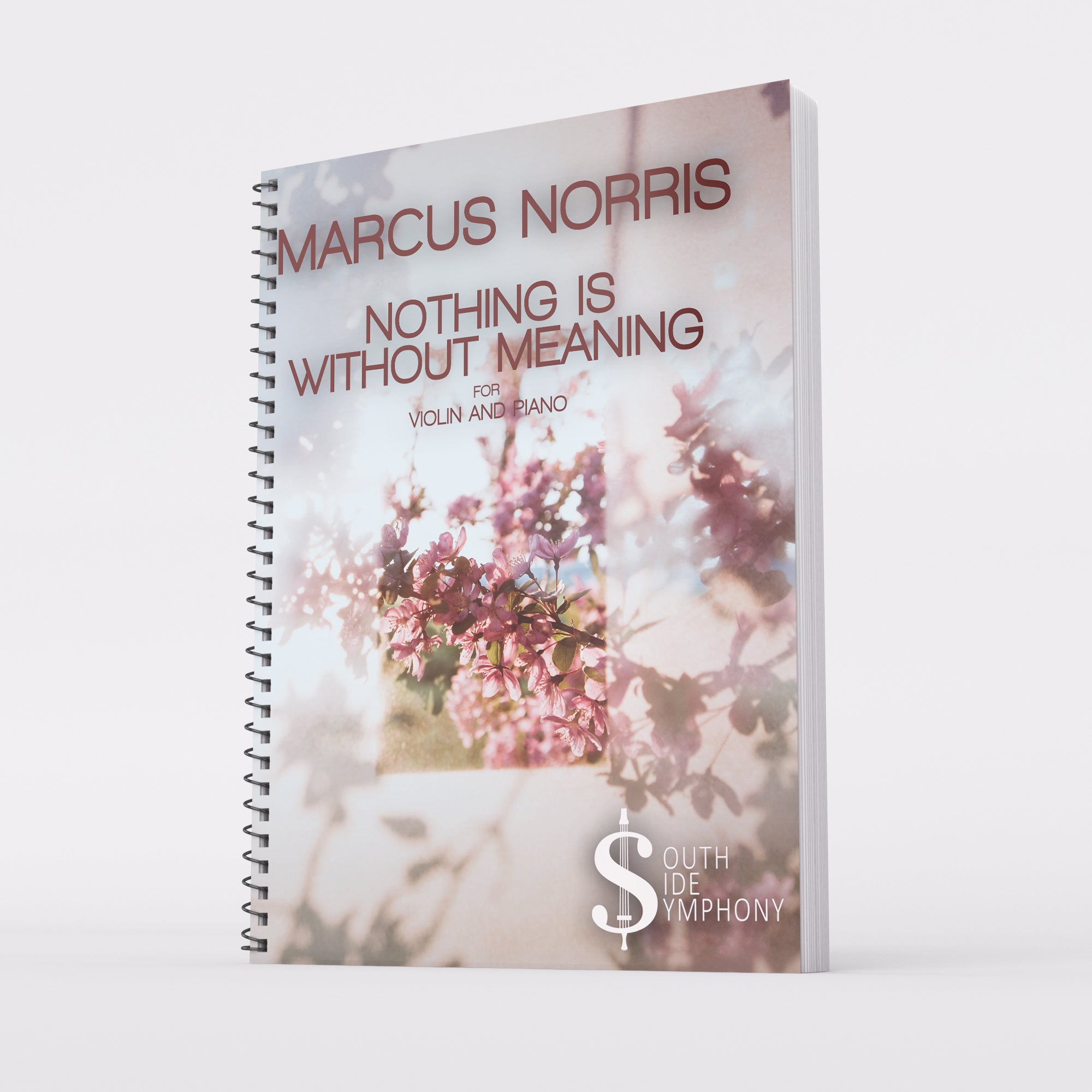 Nothing is Without Meaning (for violin and piano) [Sheet Music]